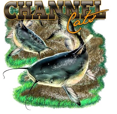 Channel cat