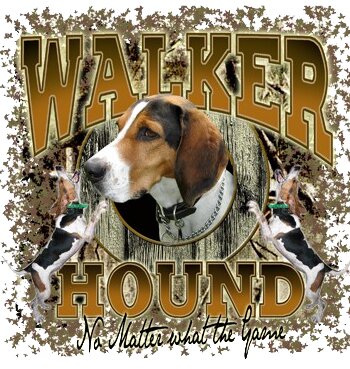 Walker Hound