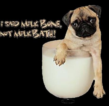 Milk Bone not bath