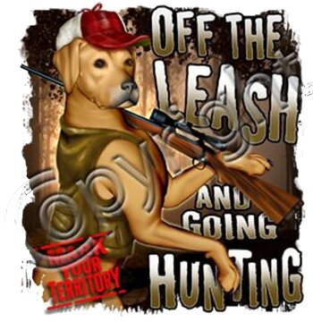 Off the leash and Hunting 