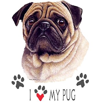 Love Pugs
