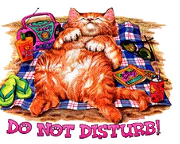Do not disturb