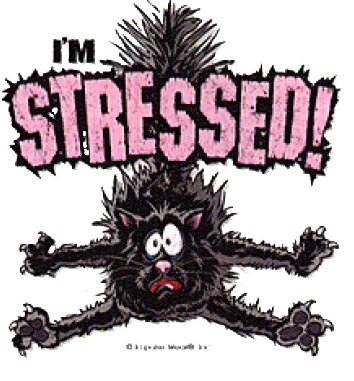 I'm Stressed