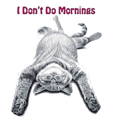 I don't do mornings