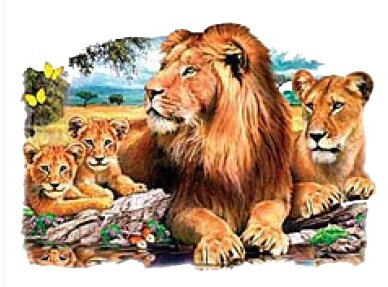 Lion Scene