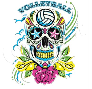 Vollyball Power