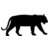Big Cat  Tiger  Lion  Panther 1