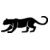 Big Cat  Tiger  Lion  Panther 11