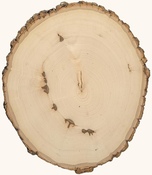 9-12" Rustic Basswood Plank